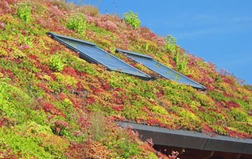 Guthrie living roof systems
